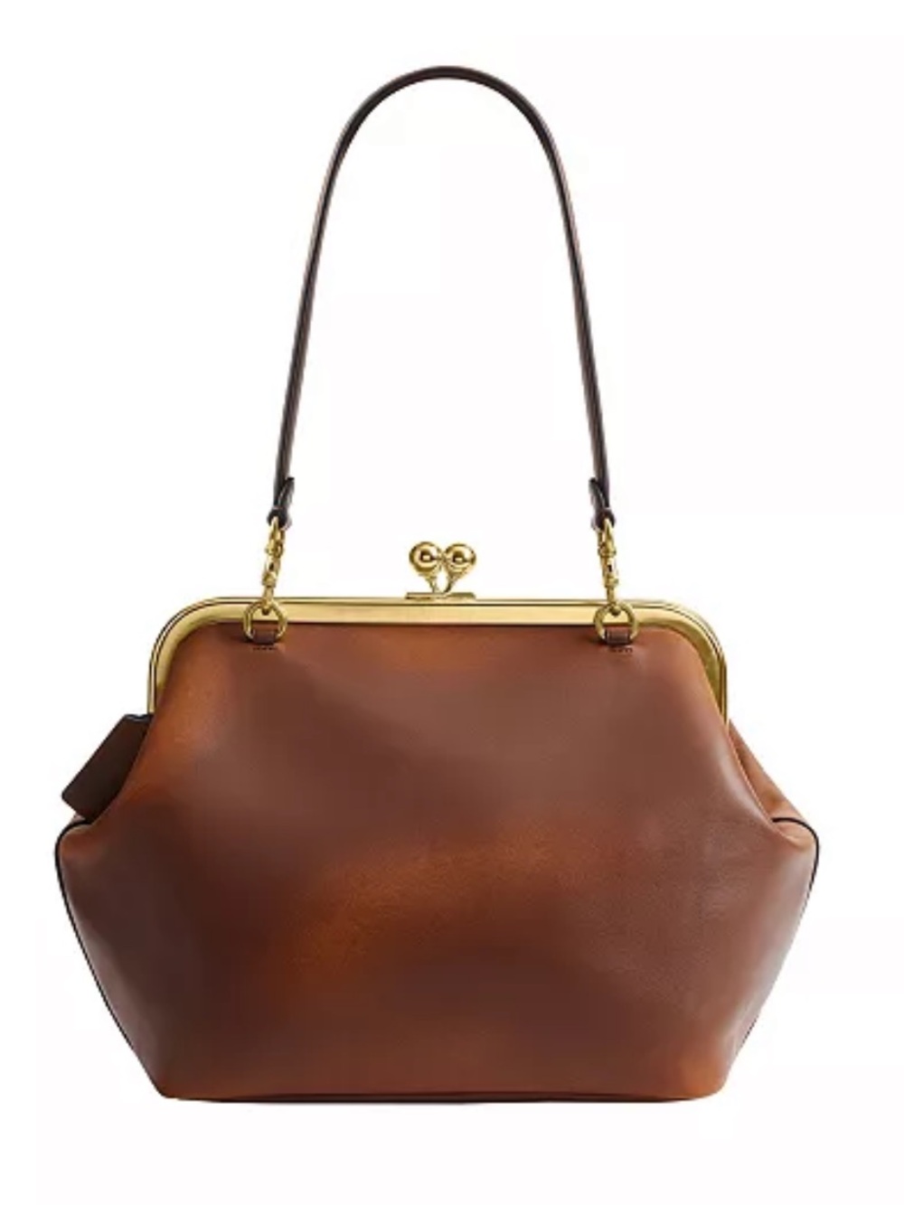 NWT Coach Kisslock Medium Frame Bag 27 in Loved Leather